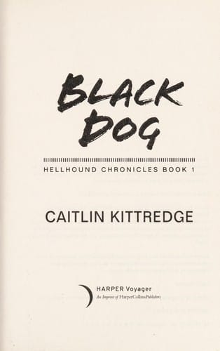 Black dog