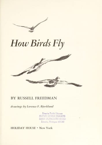 How birds fly