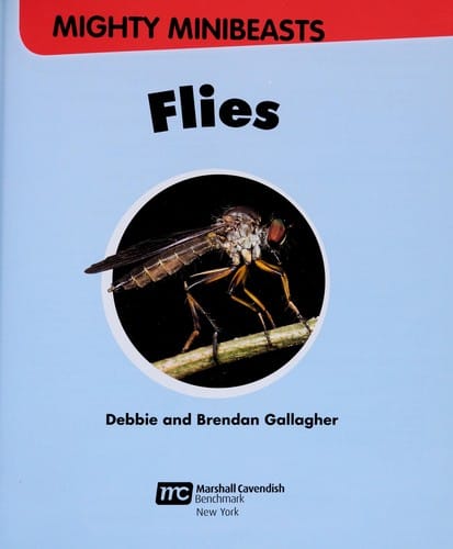 Flies