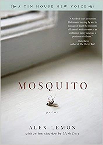 Mosquito