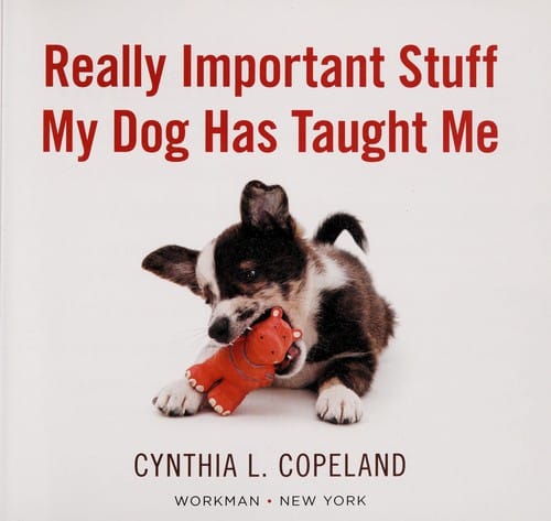 Really important stuff my dog has taught me