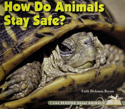 How do animals stay safe?