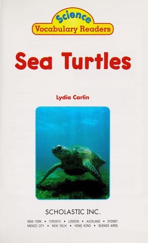 Sea turtles