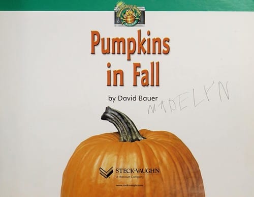 Pumpkins in the fall