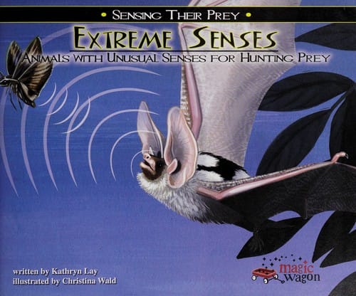 Extreme senses
