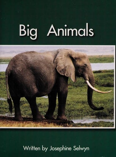 Big animals
