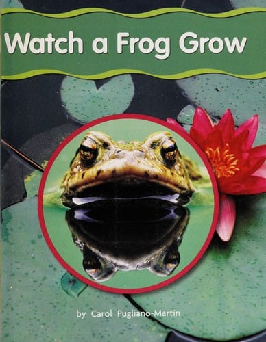 Watch a frog grow
