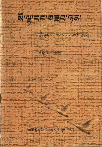 so lta dang gzab nyan