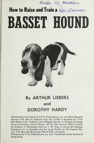 How to raise and train a basset hound