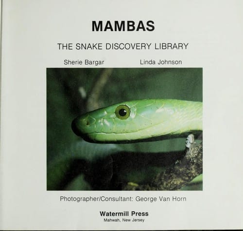 Mambas