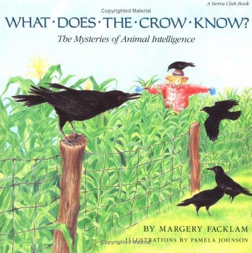 What does the crow know?