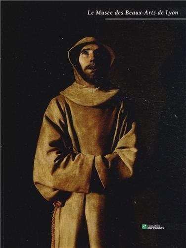 Le musee des beaux-arts de Lyon