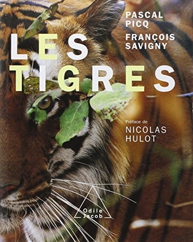 Les tigres