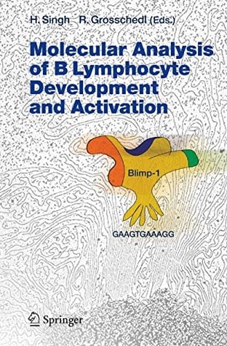 Molecular Analysis of B Lymphocyte Development and Activation (Current Topics in Microbiology and Immunology Book 290)