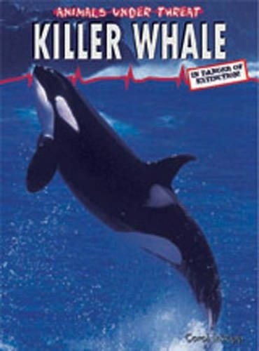 Killer Whale (Animals Under Threat) (Animals Under Threat)