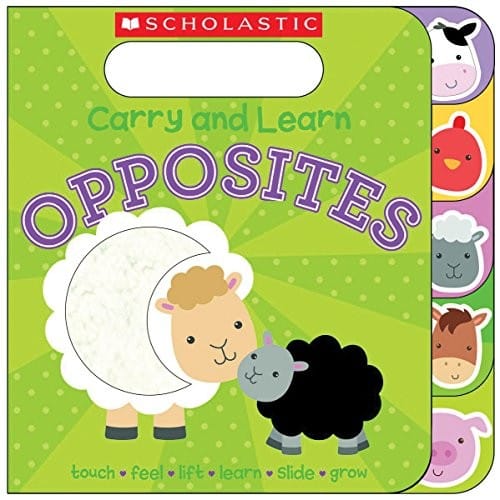 Carry and Learn Opposites