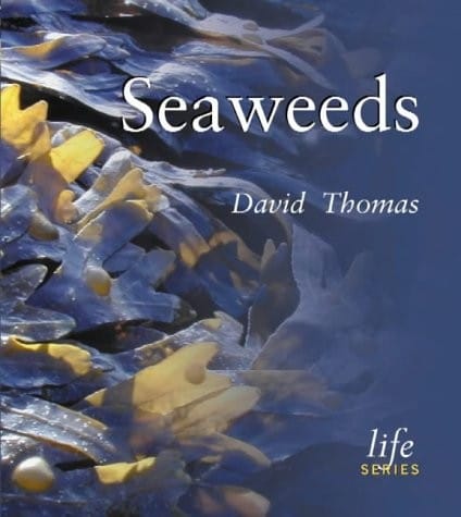 Seaweeds