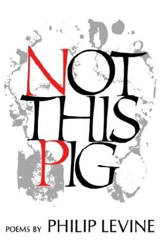 Not this pig