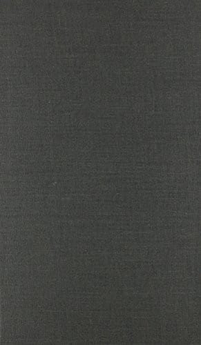 The Beautiful Generation: Asian Americans and the Cultural Economy of Fashion