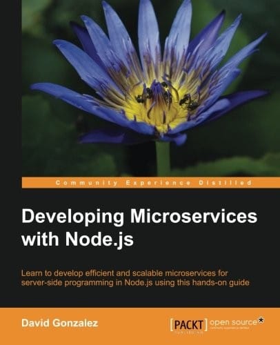 Developing Microservices with Node.js