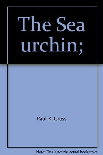 The Sea urchin