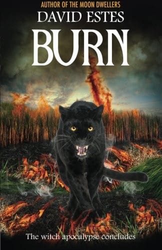 Burn (Salem's Revenge) (Volume 3)