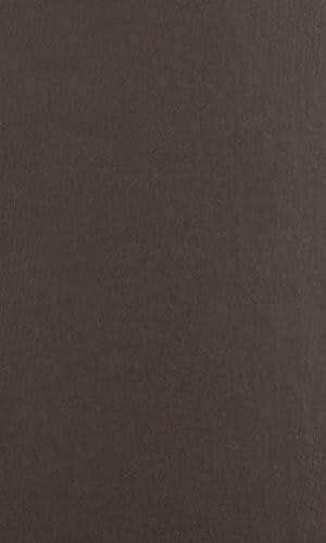 Promised Lands (Brandeis Series in American Jewish History, Culture, and Life & HBI Series on Jewish Women)