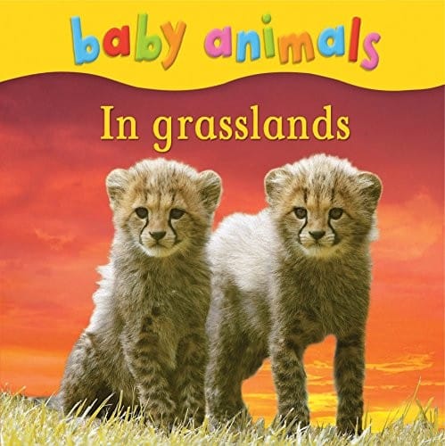 Baby Animals in Grasslands.