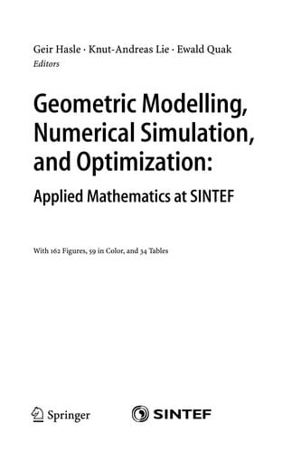 Geometric modelling, numerical simulation, and optimization