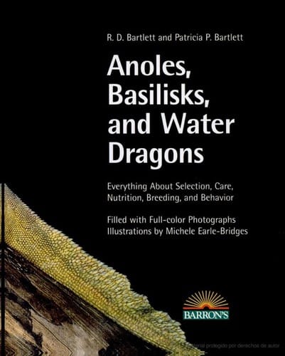 Anoles, basilisks, and water dragons