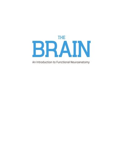 The brain