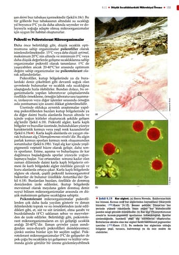 Brock mikroorganizmaların biyolojisi