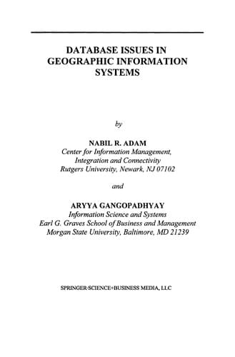 Database Issues in Geographic Information Systems