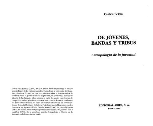 De jóvenes, bandas y tribus