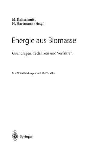 Energie aus Biomasse