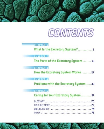 Excretory system