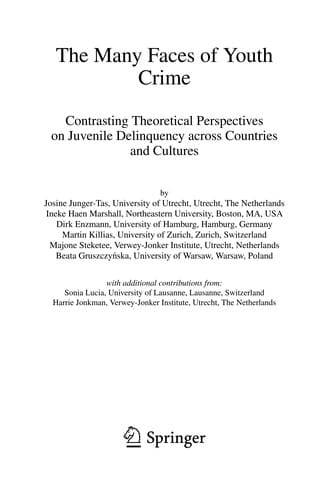 The many faces of youth crime