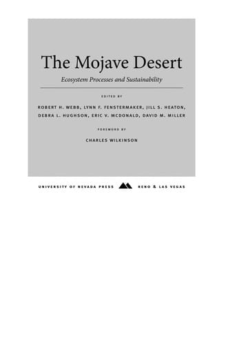 The Mojave Desert