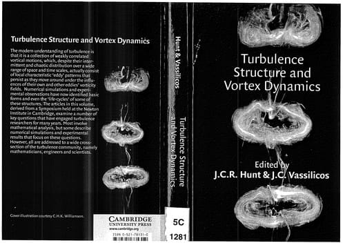 Turbulence structure and vortex dynamics