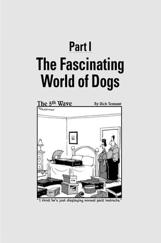 Understanding your dog for dummies