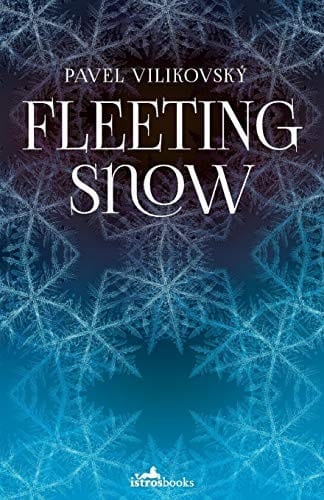 Fleeting Snow