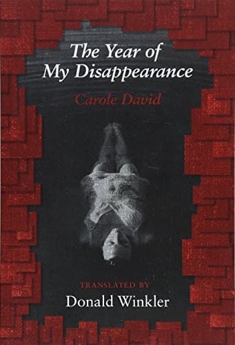 The Year of My Disappearance
