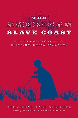 The American slave coast