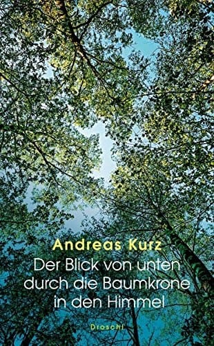 Der Blick von unten durch die Baumkrone in den Himmel