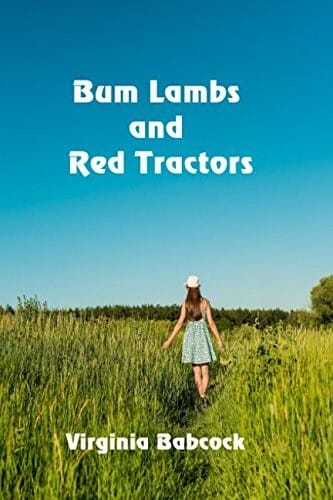 Bum Lambs and Red Tractors