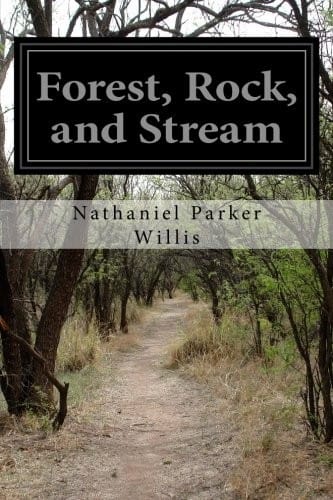 Forest, Rock, and Stream