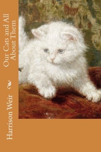 Our Cats and All About Them