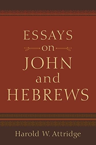 Essays on John and Hebrews