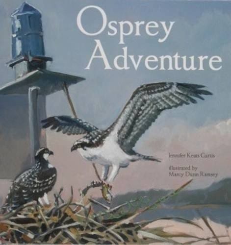 Osprey adventure