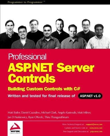 Professional ASP.NET Server Controls